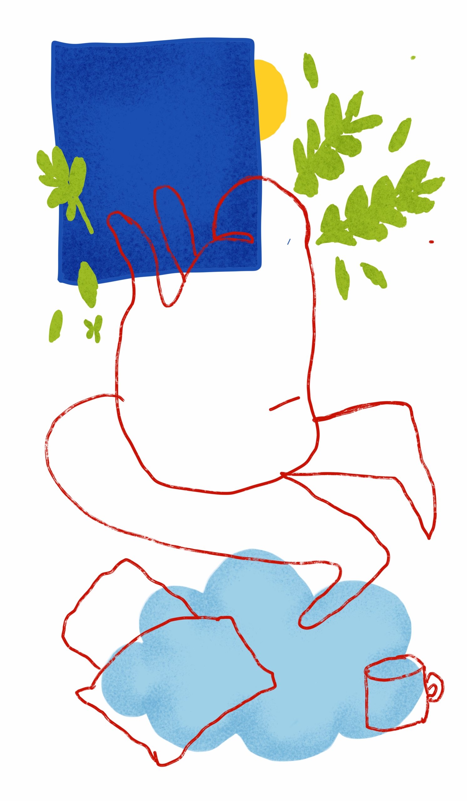 drawings